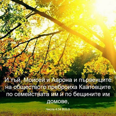 Picture 03 - Числа 4:34 BULG - И тъй, Моисей и Аарона и - Bible Verse Picture
