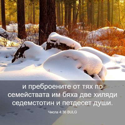 Picture 03 - Числа 4:36 BULG - и преброените от тях по - Bible Verse Picture
