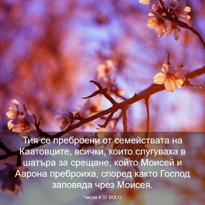 Picture 03 - Числа 4:37 BULG - Тия се преброени от - Bible Verse Picture
