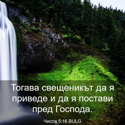 Picture 03 - Числа 5:16 BULG - Тогава свещеникът да я - Bible Verse Picture