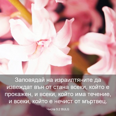 Picture 03 - Числа 5:2 BULG - Заповядай на израилтяните - Bible Verse Picture