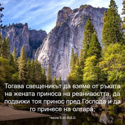 Picture 03 - Числа 5:25 BULG - Тогава свещеникът да вземе - Bible Verse Picture