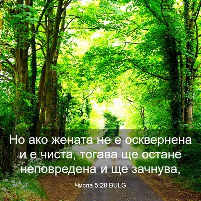 Picture 03 - Числа 5:28 BULG - Но ако жената не е - Bible Verse Picture