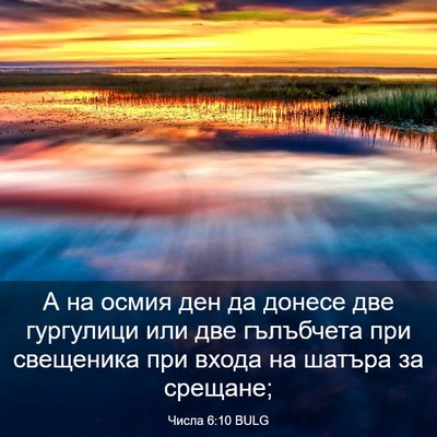 Picture 03 - Числа 6:10 BULG - А на осмия ден да донесе - Bible Verse Picture