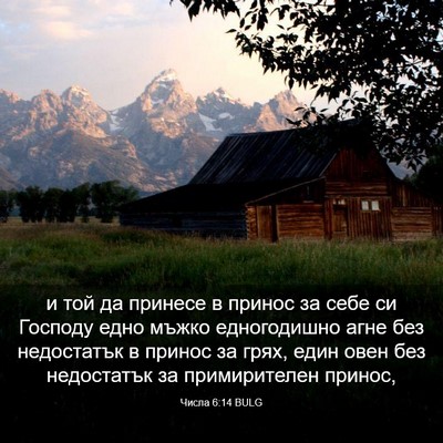 Picture 03 - Числа 6:14 BULG - и той да принесе в принос - Bible Verse Picture