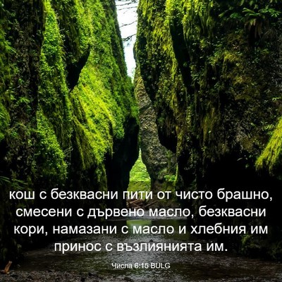 Picture 03 - Числа 6:15 BULG - кош с безквасни пити от - Bible Verse Picture