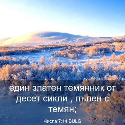 Picture 03 - Числа 7:14 BULG - един златен темянник от - Bible Verse Picture