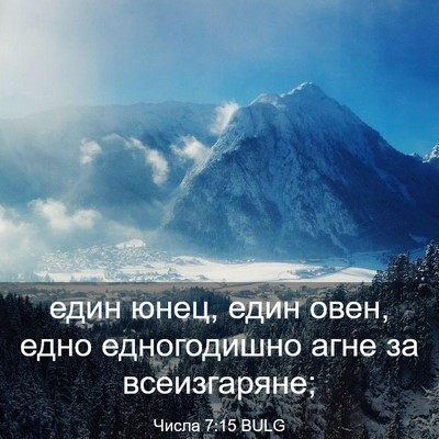 Picture 03 - Числа 7:15 BULG - един юнец, един овен, едно - Bible Verse Picture