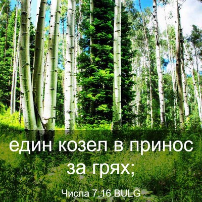 Picture 03 - Числа 7:16 BULG - един козел в принос за - Bible Verse Picture