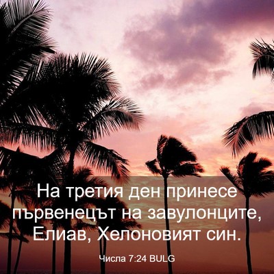 Picture 03 - Числа 7:24 BULG - На третия ден принесе - Bible Verse Picture
