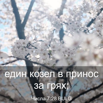 Picture 03 - Числа 7:28 BULG - един козел в принос за - Bible Verse Picture
