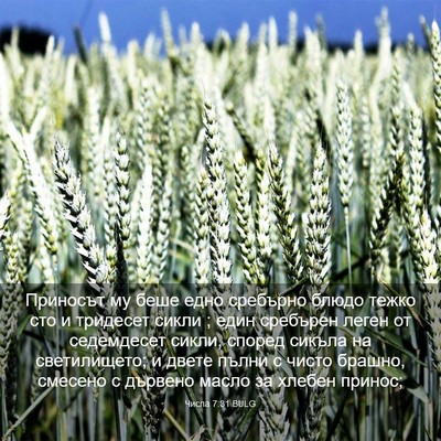 Picture 03 - Числа 7:31 BULG - Приносът му беше едно - Bible Verse Picture