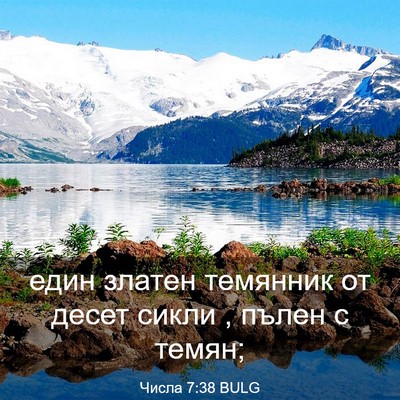 Picture 03 - Числа 7:38 BULG - един златен темянник от - Bible Verse Picture