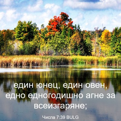 Picture 03 - Числа 7:39 BULG - един юнец, един овен, едно - Bible Verse Picture