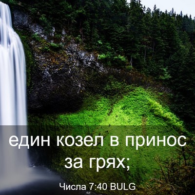 Picture 03 - Числа 7:40 BULG - един козел в принос за - Bible Verse Picture