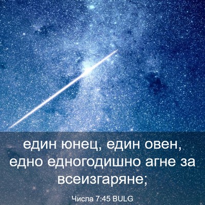 Picture 03 - Числа 7:45 BULG - един юнец, един овен, едно - Bible Verse Picture