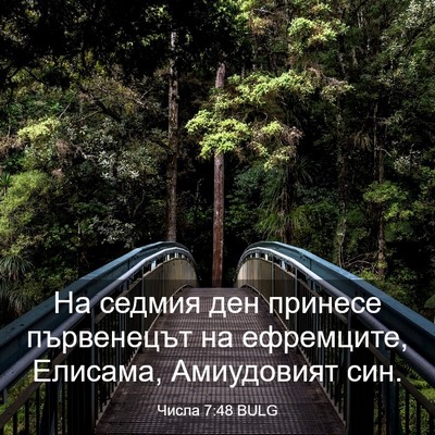 Picture 03 - Числа 7:48 BULG - На седмия ден принесе - Bible Verse Picture
