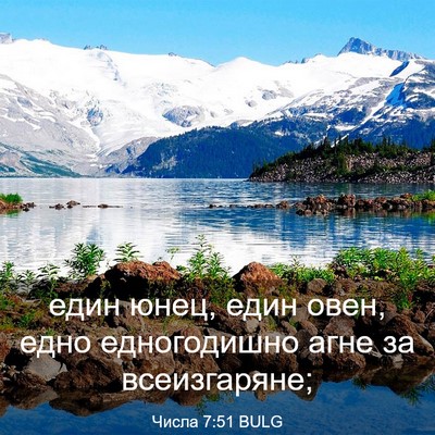 Picture 03 - Числа 7:51 BULG - един юнец, един овен, едно - Bible Verse Picture