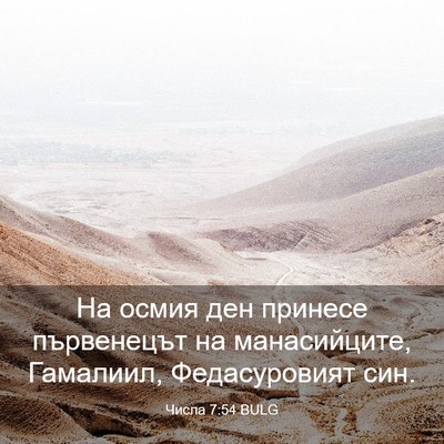 Picture 03 - Числа 7:54 BULG - На осмия ден принесе - Bible Verse Picture