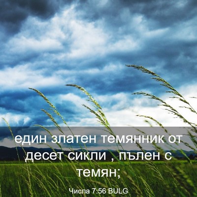 Picture 03 - Числа 7:56 BULG - един златен темянник от - Bible Verse Picture