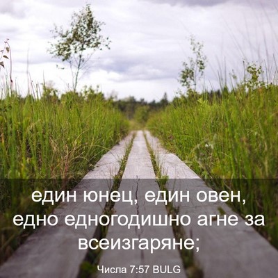 Picture 03 - Числа 7:57 BULG - един юнец, един овен, едно - Bible Verse Picture