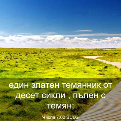Picture 03 - Числа 7:62 BULG - един златен темянник от - Bible Verse Picture