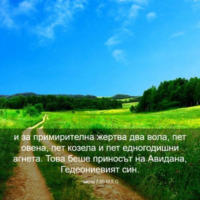 Picture 03 - Числа 7:65 BULG - и за примирителна жертва - Bible Verse Picture