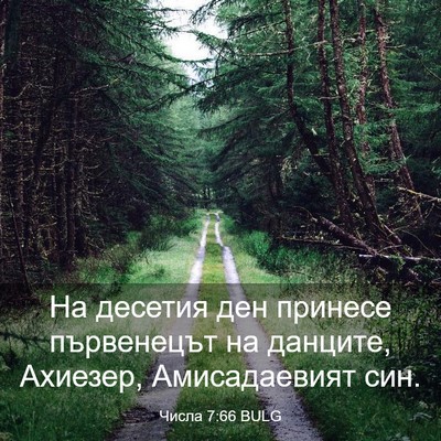Picture 03 - Числа 7:66 BULG - На десетия ден принесе - Bible Verse Picture