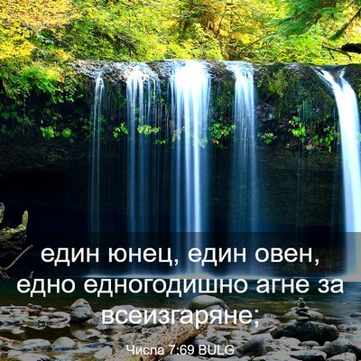 Picture 03 - Числа 7:69 BULG - един юнец, един овен, едно - Bible Verse Picture