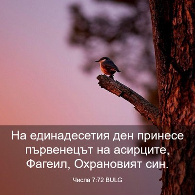 Picture 03 - Числа 7:72 BULG - На единадесетия ден - Bible Verse Picture