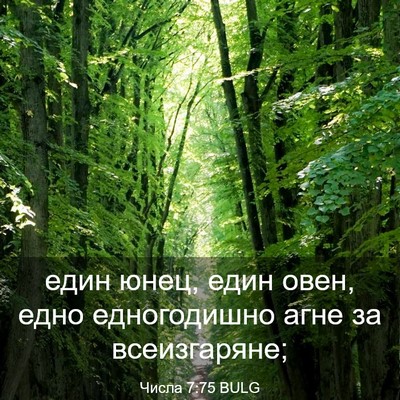 Picture 03 - Числа 7:75 BULG - един юнец, един овен, едно - Bible Verse Picture