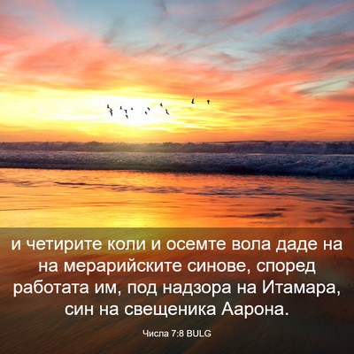 Picture 03 - Числа 7:8 BULG - и четирите коли и осемте - Bible Verse Picture