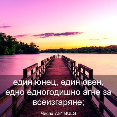 Picture 03 - Числа 7:81 BULG - един юнец, един овен, едно - Bible Verse Picture