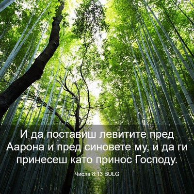 Picture 03 - Числа 8:13 BULG - И да поставиш левитите - Bible Verse Picture