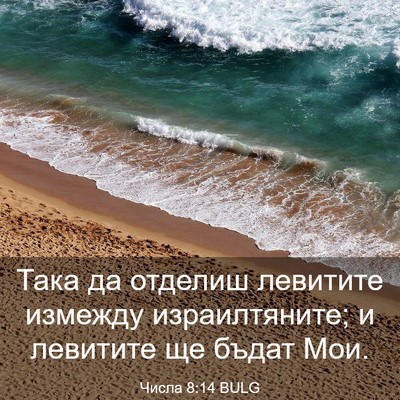 Picture 03 - Числа 8:14 BULG - Така да отделиш левитите - Bible Verse Picture