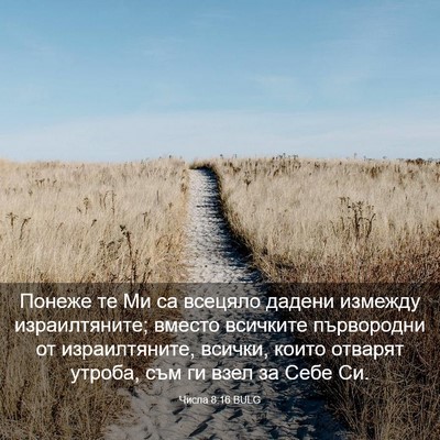 Picture 03 - Числа 8:16 BULG - Понеже те Ми са всецяло - Bible Verse Picture