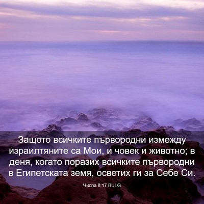 Picture 03 - Числа 8:17 BULG - Защото всичките - Bible Verse Picture