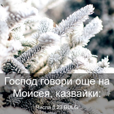 Picture 03 - Числа 8:23 BULG - Господ говори още на - Bible Verse Picture