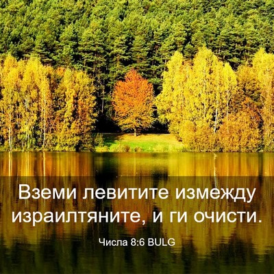 Picture 03 - Числа 8:6 BULG - Вземи левитите измежду - Bible Verse Picture