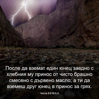 Picture 03 - Числа 8:8 BULG - После да вземат един юнец - Bible Verse Picture