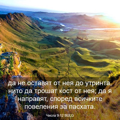 Picture 03 - Числа 9:12 BULG - да не оставят от нея до - Bible Verse Picture