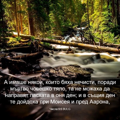 Picture 03 - Числа 9:6 BULG - А имаше някои, които бяха - Bible Verse Picture