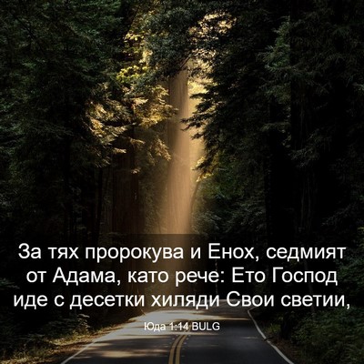 Picture 03 - Юда 1:14 BULG - За тях пророкува и Енох, - Bible Verse Picture