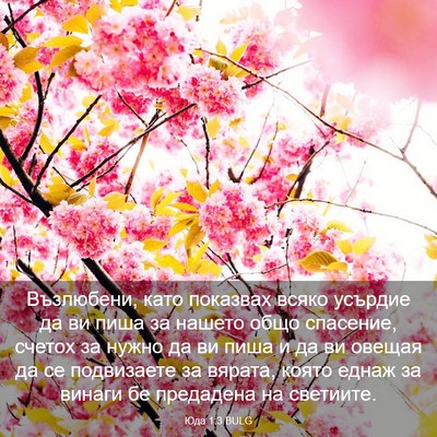 Picture 03 - Юда 1:3 BULG - Възлюбени, като показвах - Bible Verse Picture