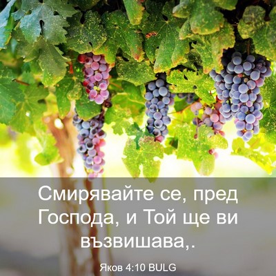 Picture 03 - Яков 4:10 BULG - Смирявайте се, пред - Bible Verse Picture