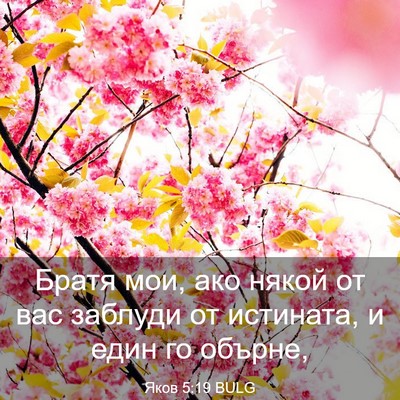 Picture 03 - Яков 5:19 BULG - Братя мои, ако някой от вас - Bible Verse Picture