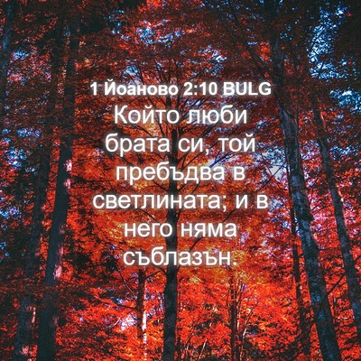 Picture 04 - 1 Йоаново 2:10 BULG - Който люби брата си, той - Bible Verse Picture