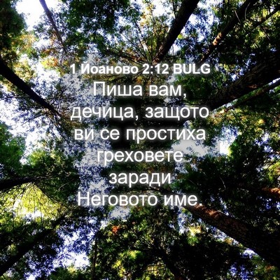 Picture 04 - 1 Йоаново 2:12 BULG - Пиша вам, дечица, защото ви - Bible Verse Picture