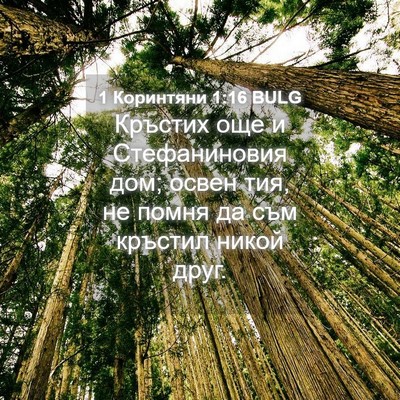 Picture 04 - 1 Коринтяни 1:16 BULG - Кръстих още и Стефаниновия - Bible Verse Picture