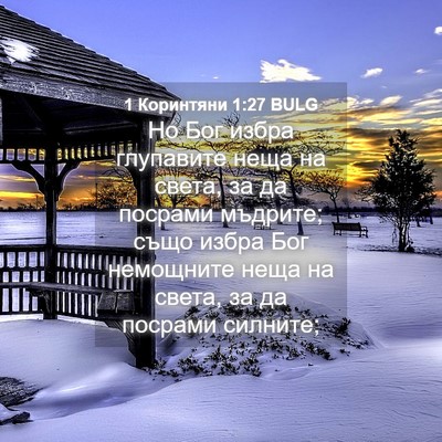Picture 04 - 1 Коринтяни 1:27 BULG - Но Бог избра глупавите - Bible Verse Picture